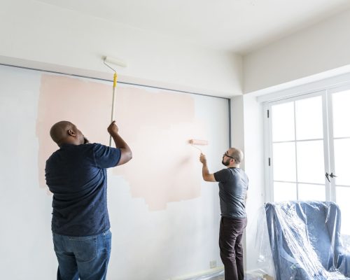 people-renovating-the-house-2023-11-27-05-29-14-utc (1)